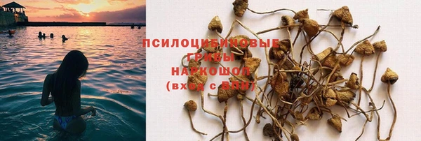 сатива Алексеевка